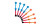 Gradia direct syringe WT 4g 