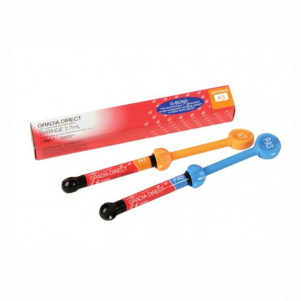 Gradia direct syringe WT 4g 