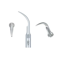 Dental Scaler Tips GD1